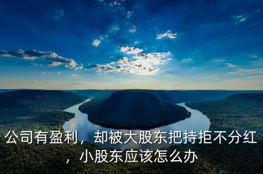 公司有盈利，卻被大股東把持拒不分紅，小股東應(yīng)該怎么辦