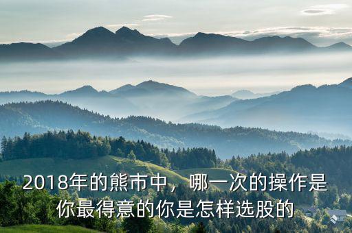 2018年的熊市中，哪一次的操作是你最得意的你是怎樣選股的