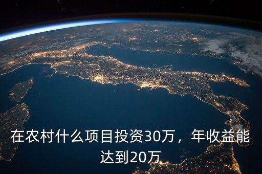 在農(nóng)村什么項目投資30萬，年收益能達到20萬