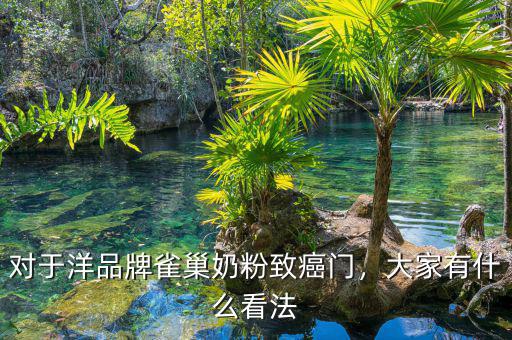 對(duì)于洋品牌雀巢奶粉致癌門，大家有什么看法