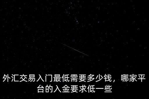 外匯交易入門最低需要多少錢，哪家平臺(tái)的入金要求低一些