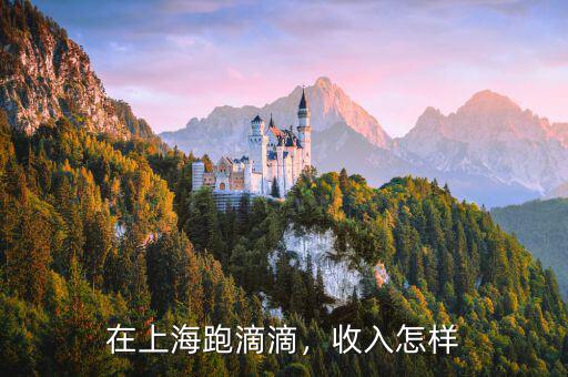 在上海跑滴滴，收入怎樣