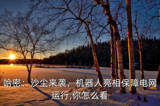 哈密：沙塵來襲，機器人亮相保障電網(wǎng)運行,你怎么看