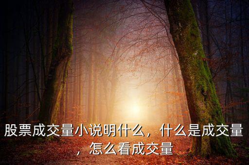 股票成交量小說明什么，什么是成交量，怎么看成交量
