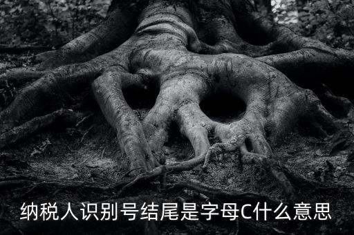 c級納稅人是什么意思，納稅人識別號結(jié)尾是字母C什么意思