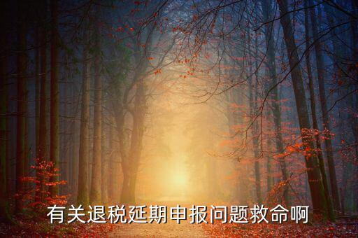辦理退稅延期需要什么材料，公司出口報關(guān)單馬上就過三個月了到稅務(wù)如何辦理退稅延長期具