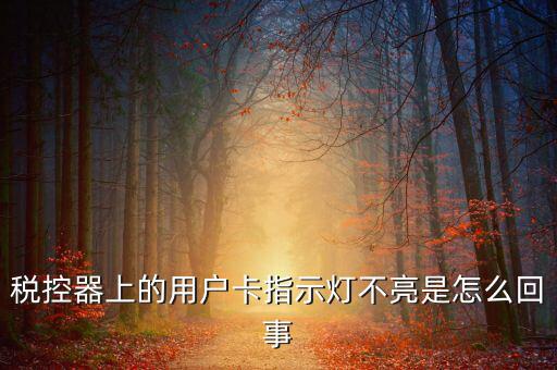 稅控機用戶卡是什么，稅控器上的用戶卡指示燈不亮是怎么回事