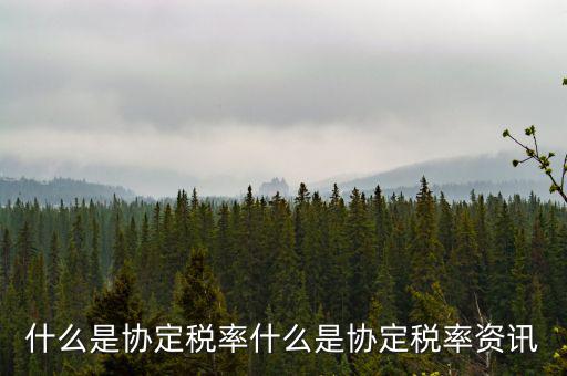 什么是稅收協(xié)定稅率，什么是稅收協(xié)定