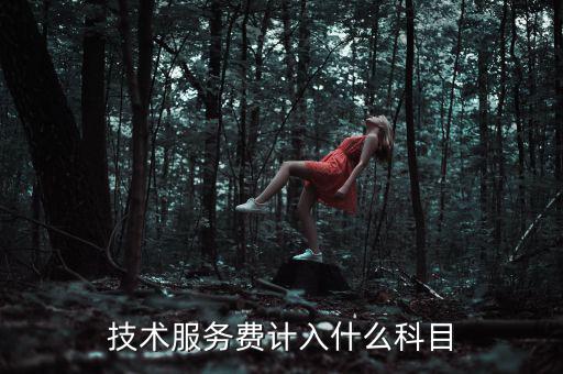 技術(shù)服務(wù)收入計(jì)入什么科目，收到技術(shù)服務(wù)費(fèi)計(jì)入什么科目