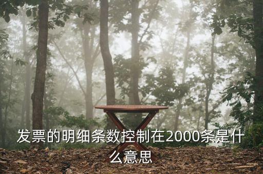 發(fā)票明細(xì)什么意思，發(fā)票的明細(xì)條數(shù)控制在2000條是什么意思