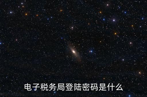 納稅人登路的密碼是什么，國稅第一次網(wǎng)上申報的登陸密碼是什么
