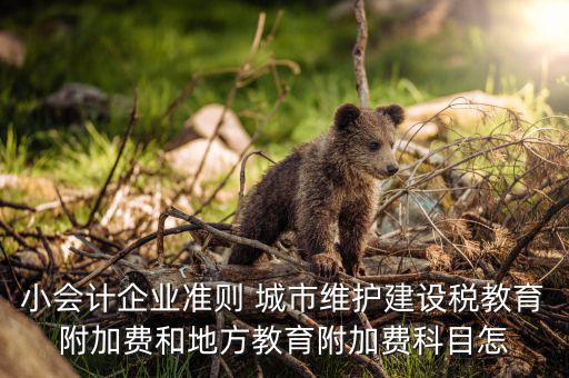 稅務(wù)維護需要什么科目，對城市維護建設(shè)稅進行會計處理時可能涉及的會計科目是 A 營業(yè)外