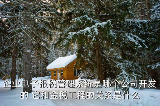 什么是網(wǎng)稅系統(tǒng)，企業(yè)電子報(bào)稅管理系統(tǒng)是哪個(gè)公司開發(fā)的 它和金稅工程的關(guān)系是什么