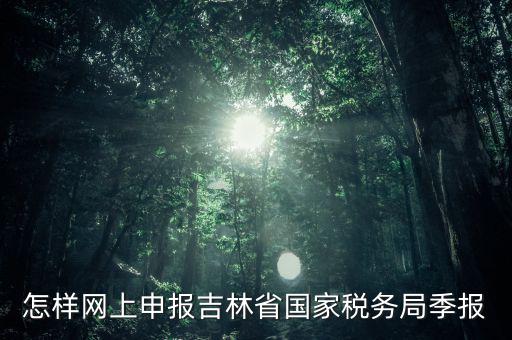 吉林省用什么報稅系統(tǒng)，吉林省的報稅系統(tǒng)如何使用