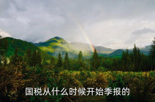 國(guó)稅什么時(shí)間申報(bào)，國(guó)稅從什么時(shí)候開(kāi)始季報(bào)的