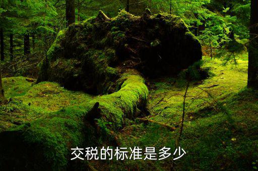 國家收稅的標(biāo)準(zhǔn)是什么，交稅的標(biāo)準(zhǔn)是多少