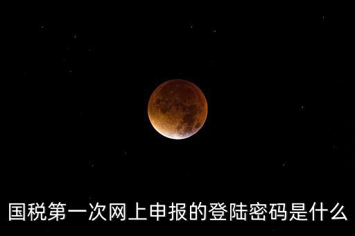 國稅第一次網(wǎng)上申報(bào)的登陸密碼是什么