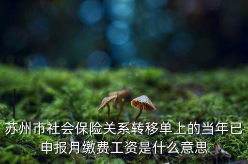 社保已申報(bào)是什么意思，新手求助請問網(wǎng)上申報(bào)是什么意思