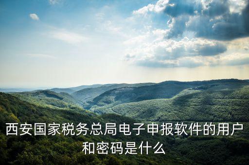 陜西省國家稅務(wù)局賬號(hào)是什么，你好我想問你 一下 網(wǎng)上國稅的用戶名和密碼是什么