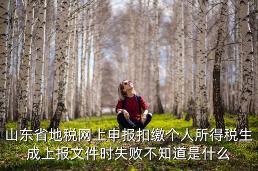 山東地稅網(wǎng)為什么沒法報稅，山東地稅網(wǎng)上申報系統(tǒng)網(wǎng)頁無法訪問是什么原因