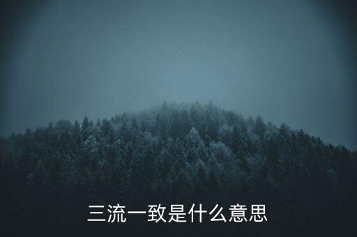 發(fā)票 流向一致是什么意思，發(fā)票四流一致是哪四流