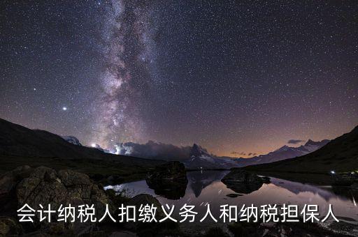 什么叫納稅擔(dān)保人，什么是納稅擔(dān)保