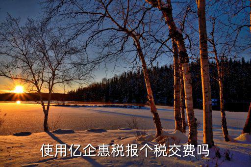 深圳億企惠稅報(bào)什么稅，稅友億企惠稅是用來(lái)申報(bào)地稅還是國(guó)稅