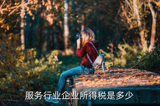 什么是接受服務(wù)企業(yè)所得稅，服務(wù)行業(yè)企業(yè)所得稅是多少