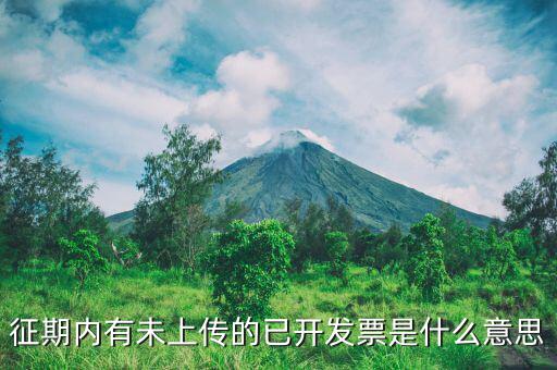 申報(bào)沒(méi)上傳是什么意思，我在財(cái)務(wù)申報(bào)時(shí)沒(méi)上傳第二天可以不傳嗎