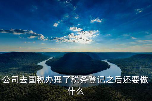國稅辦完之后辦什么，公司去國稅辦理了稅務(wù)登記之后還要做什么