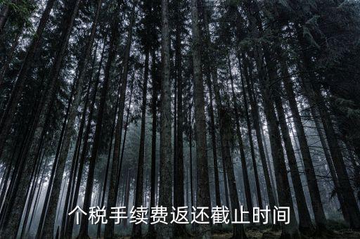 個稅手續(xù)費返還什么時候還，個稅手續(xù)費返還時間