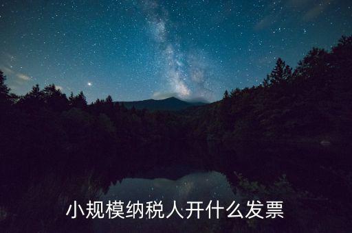 成都小規(guī)模應(yīng)開什么發(fā)票，小規(guī)模納稅人開什么發(fā)票