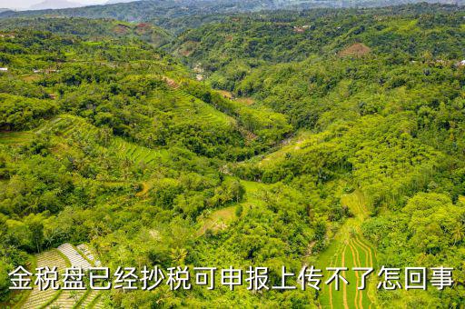 金稅申報發(fā)送不了是什么原因，金稅盤已經(jīng)抄稅可申報上傳不了怎回事