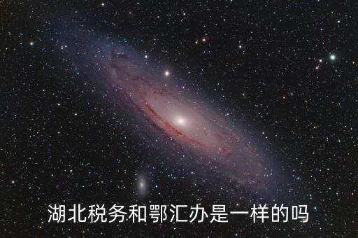 湖北稅務和鄂匯辦是一樣的嗎