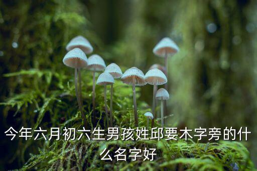 稅什么邱什么的名字，孩子姓邱該取什么名字呢男女都行