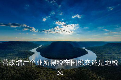 營(yíng)改增后企業(yè)所得稅在國(guó)稅交還是地稅交
