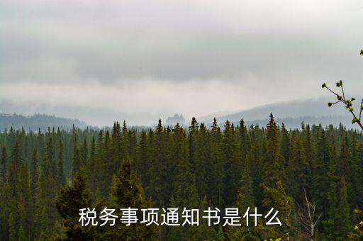 稅務(wù)事項通知書是什么