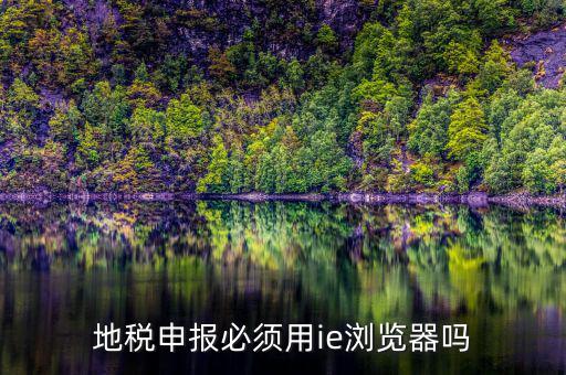 用什么瀏覽器申報山東地稅，地稅申報必須用ie瀏覽器嗎