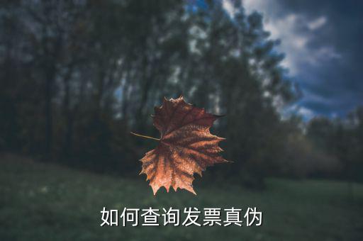 查驗發(fā)票需要什么信息，發(fā)票怎么去稅務(wù)局驗證需要什么資料