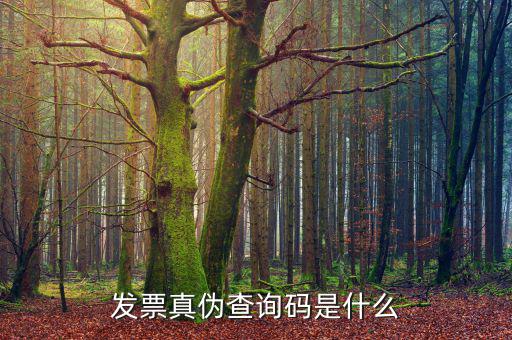 定額發(fā)票真?zhèn)尾樵兲柺鞘裁?，發(fā)票真?zhèn)尾樵兇a是什么