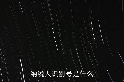 電子稅務(wù)局納稅人識(shí)別號(hào)是什么，納稅人識(shí)別號(hào)是什么