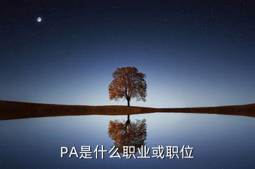 河南省國(guó)稅局陳紅偉什么職務(wù)，PA是什么職業(yè)或職位