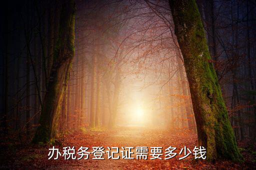 稅務(wù)局登記需要什么手續(xù)費(fèi)，辦稅務(wù)登記證需要多少錢