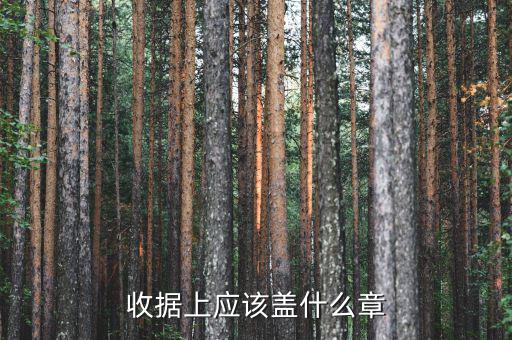 收據(jù)應(yīng)蓋什么章，收據(jù)蓋什么章有規(guī)定嗎