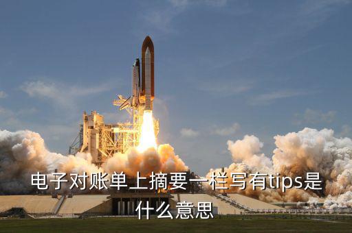 國稅tips系統(tǒng)指什么，電子對賬單上摘要一欄寫有tips是什么意思