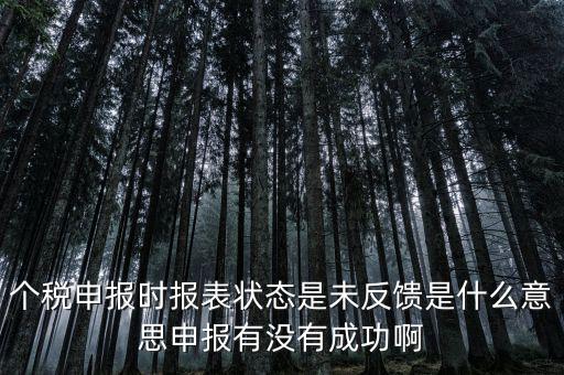 個稅為什么要獲取反饋信息，個稅申報完成后的反饋文件有什么用