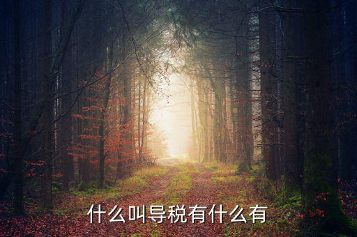 什么叫導稅有什么有