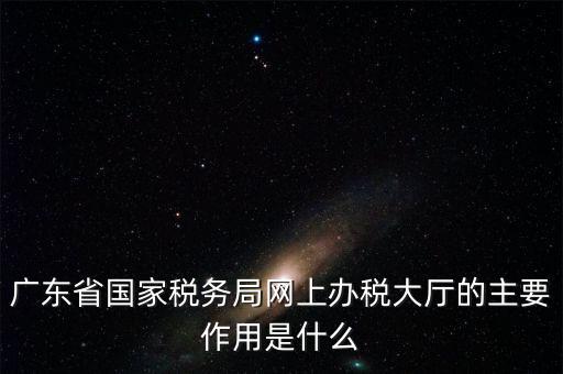 廣東省國家稅務局網上辦稅大廳的主要作用是什么