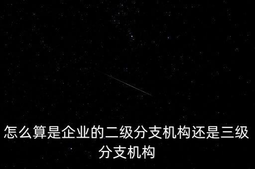 什么叫企業(yè)二級分支機構(gòu)，現(xiàn)在分公司要辦稅務(wù)登記證但是我想問一下二級分機構(gòu)指的是