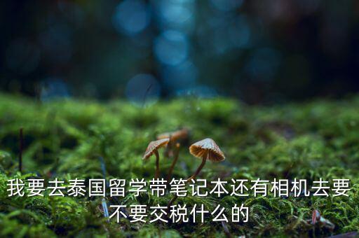 泰國什么人需要納稅，我要去泰國留學帶筆記本還有相機去要不要交稅什么的